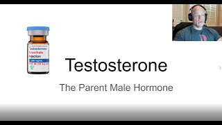 Testosterone Steroid Profile  Anabolic Bodybuilding [upl. by Kiernan]