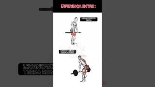 AGACHAMENTO TERRA OU LEVANTAMENTO TERRA ROMENO ENTENDA AS DIFERENÇAS workout fitness treino [upl. by Aicenaj]