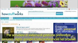 Google e la Privacy Pubblicità basata sugli interessi [upl. by Alysia]