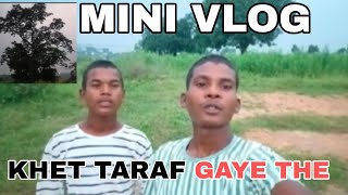 mini vlogKHET TARAF GAYE THE 😁😁 HAM LOG TAKALA 👈 [upl. by Ynolem493]