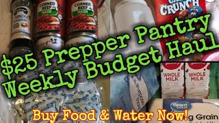 25 Prepper Pantry Weekly Budget HaulRepackaging Rice Long Term prepperpantry foodsecurity Prep [upl. by Anaihr]