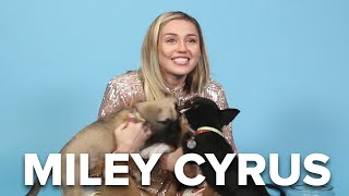 Miley Cyrus Plays With Puppies While Answering Fan Questions [upl. by Packton143]