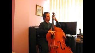 NHØP  quotJust in Timequot Bass Solo [upl. by Roel]