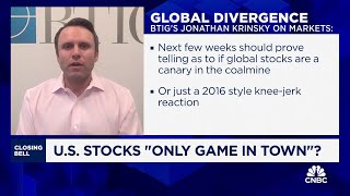 US stocks seem to be only game in town right now says BTIGs Jonathan Krinksy [upl. by Nahtnanhoj]