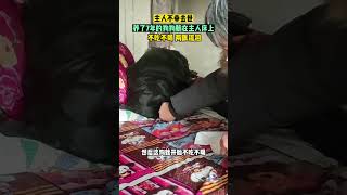 主人不幸去世，養了7年的狗狗躺在主人牀上，不喫不喝兩眼流淚 大象新聞 [upl. by Ettenig926]