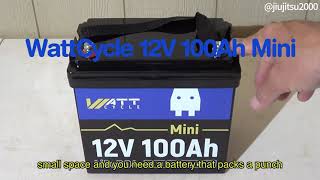 WattCycle 12V 100Ah Mini LiFePO4 Battery Review Unboxing Charging Voltage amp Load Tests [upl. by Yesteb]