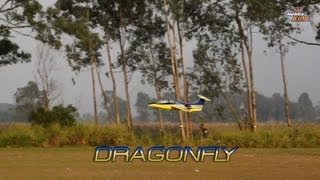 HobbyKing DragonFly EDF BalsaPly Park Jet ARF [upl. by Tasha]