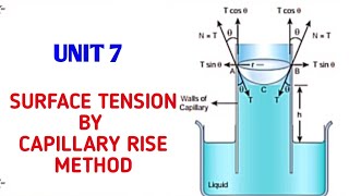 Surface tension by capillary rise method  Unit 7 Properties of matter  11 Physics Samacheer kalvi [upl. by Lugar339]