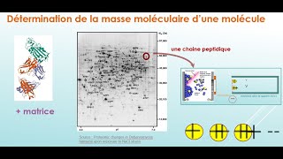 Applications de la spectrométrie de masse V2 [upl. by Coppock]