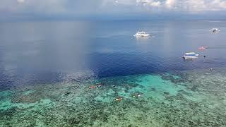 Moalboal Diving Spot  DJi Neo [upl. by Bowen671]