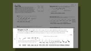 The Warbler Guide  Vocalizations [upl. by Gib]