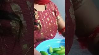 Dondakaya curry  Telugu vlogs  santoshis Telugu vlogs [upl. by Alletnahs]