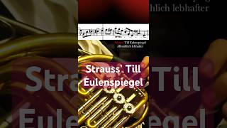 Strauss‘ Till Eulenspiegel‘s Merry Pranks Horn solo frenchhorn [upl. by Claudine979]