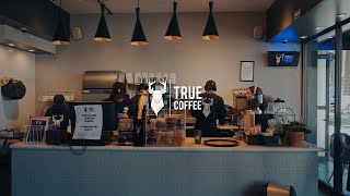 True Coffee Colon Cinematic  Lite visuals [upl. by Fem725]