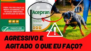 SEDATIVO PARA CACHORRO AGRESSIVO E AGITADO  Acepran NÃO USE SEM ASSISTIR Pode Salvar ou Matar Cães [upl. by Alexandro]