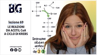 Le REAZIONI da ACETILCoA a CICLO di KREBS [upl. by Retsevlis]