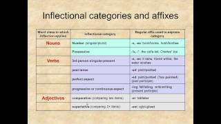 Lexicology Unit 10 Morphology [upl. by Itoyj]