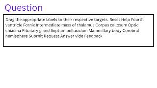 Drag the appropriate labels to their respective targets [upl. by Kare]