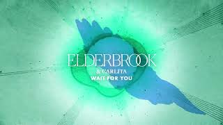 Elderbrook amp Carlita  Wait For You [upl. by Rabah]