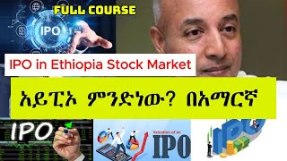 አይፒኦ ምንድንዉ እንዴት ነዉ የሚሰራዉ  What Does it mean IPO and How it Works in Stock Market [upl. by Ioj]