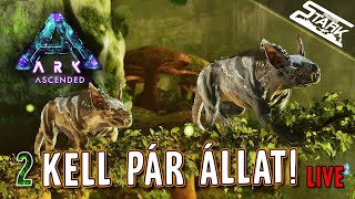 ARK Ascended Aberration  2Rész Szerezzünk pár állatot  Stark LIVE [upl. by Darce804]