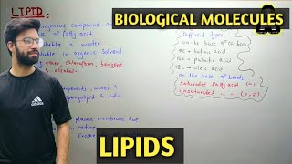 Lipids Structure  Biological Molecules  Class 11 Biology [upl. by Annid913]