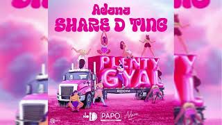 Adana Roberts  Share D Ting Plenty Gyal Riddim [upl. by Narej]