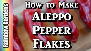 How to Make Aleppo Pepper Flakes  Halaby Pepper Flakes [upl. by Izmar]