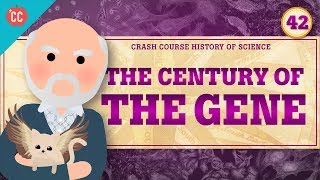 The Century of the Gene Crash Course History of Science 42 [upl. by Lyrem]