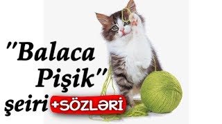 Balaca pisik 🐈 Pisik seiri [upl. by Howlyn]