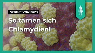 ChlamydienInfektionen Neue Studie deckt auf wie Bakterien das Immunsystem täuschen können [upl. by Reis]