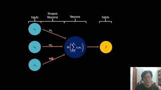 Perceptron desde 0 python [upl. by Busiek]