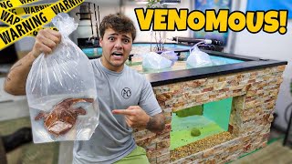 Buying VENOMOUS FISH for My SALTWATER POND [upl. by Anabelle]