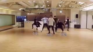 EXO Love Shot Dance Practice [upl. by Lramaj]