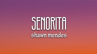 Shawn Mendes Camila Cabello – Señorita Lyrics [upl. by Eelrac]