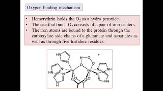 KSET ExamBioinorganic Chemistry4Hemerythrin Structure and function Iron Metalloporphyrins Kannada [upl. by Vladimar]