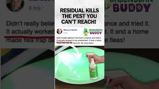 Residual Kills Pest You Cant Reach bedbugs fleas roaches [upl. by Gillead663]