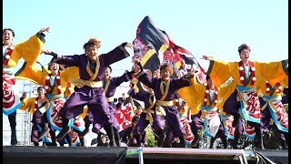 4K天狗ぅ 2017犬山踊芸祭 1日目 石作公園メイン会場（中央） [upl. by Gnot]