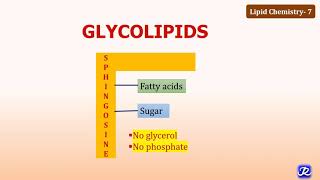 7 Glycolipids  Lipid Chemistry7  Biochemistry  NJOY Biochemistry [upl. by Silenay]