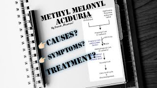 Methylmalonic Aciduria  Metabolic defect in Amino Acid metabolism  Biochemistry 📍 [upl. by Ahsiatal475]