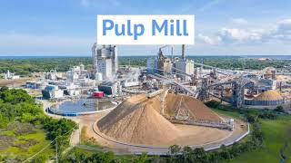 Defoamers for the Pulp amp Paper Industry [upl. by Seluj234]