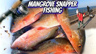 Mangrove Snapper Fishing with SUBSCRIBERS [upl. by Adamis]