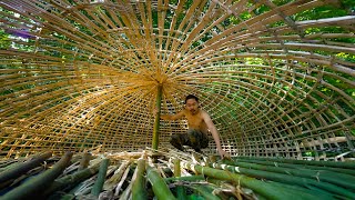 Survival Skills Unleashed  Creating a Hobbit Mushroom House with Minimal Resources Part 1 [upl. by Inavoig]