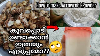 കൂവപ്പൊടി വീട്ടിൽ തന്നെ തയ്യാറാക്കാംHow to make Arrowroot powderകൂവHealth Benifits [upl. by Sherye]