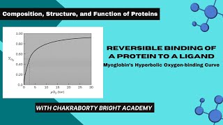 Reversible Binding of a Protein to a Ligand II Myoglobins Hyperbolic Oxygenbinding Curve [upl. by Enrev]