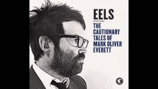 EELS  Fresh Feeling LIVE KCRW  audio stream [upl. by Amhser]