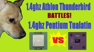 14ghz Athlon vs 14ghz Tualatin [upl. by Koal95]