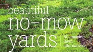 Beautiful NoMow Yards 50 Amazing Lawn Alternatives [upl. by Knudson]