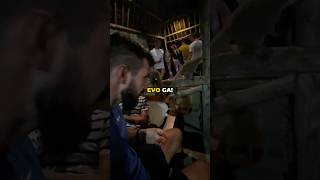 🇰🇪FEEDING BUSH BABIES  thetomislav tomislavraukovic kenya [upl. by Kalagher307]