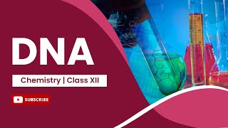 DNA  Chemistry  Class 12 [upl. by Fortunia]